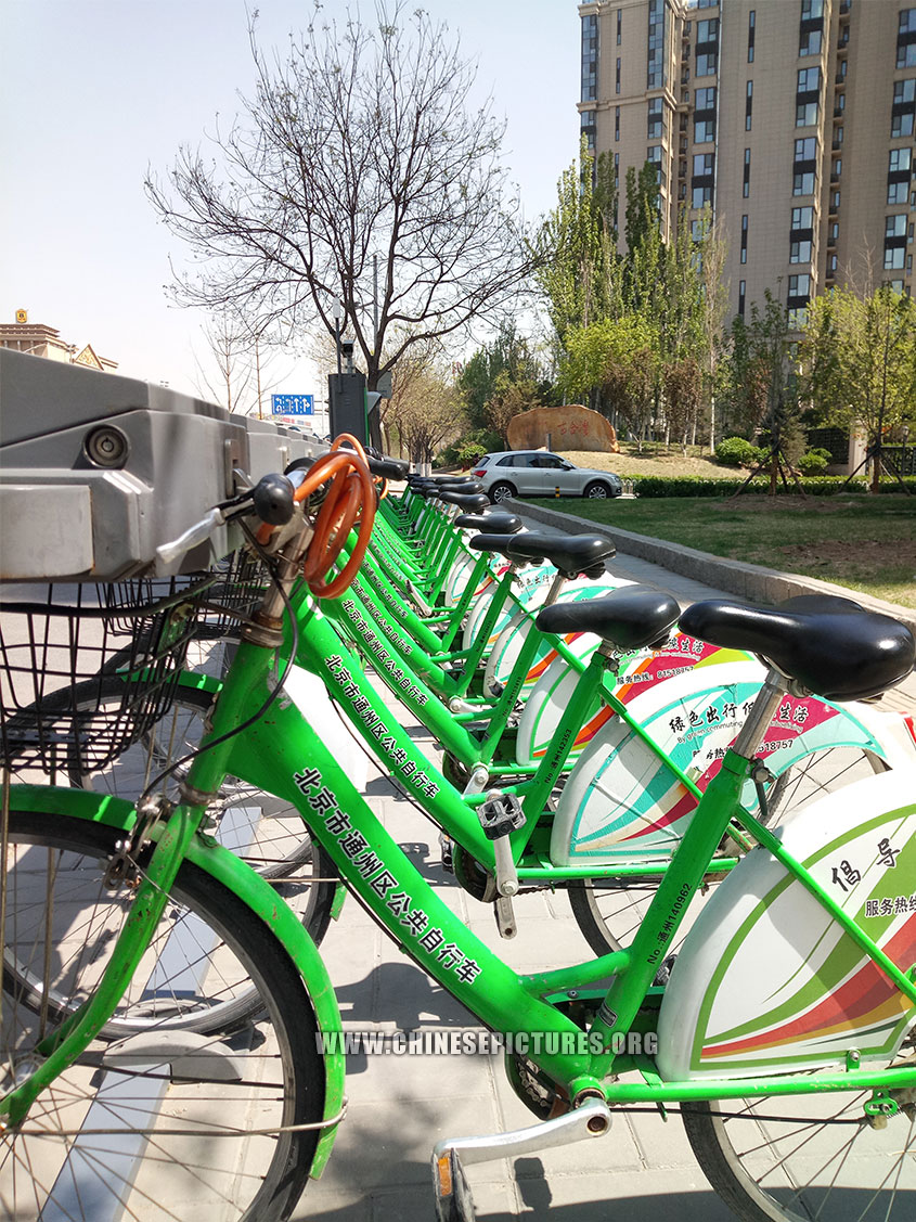 Dockless shared bicycles beat public bicycle-sharing system in China