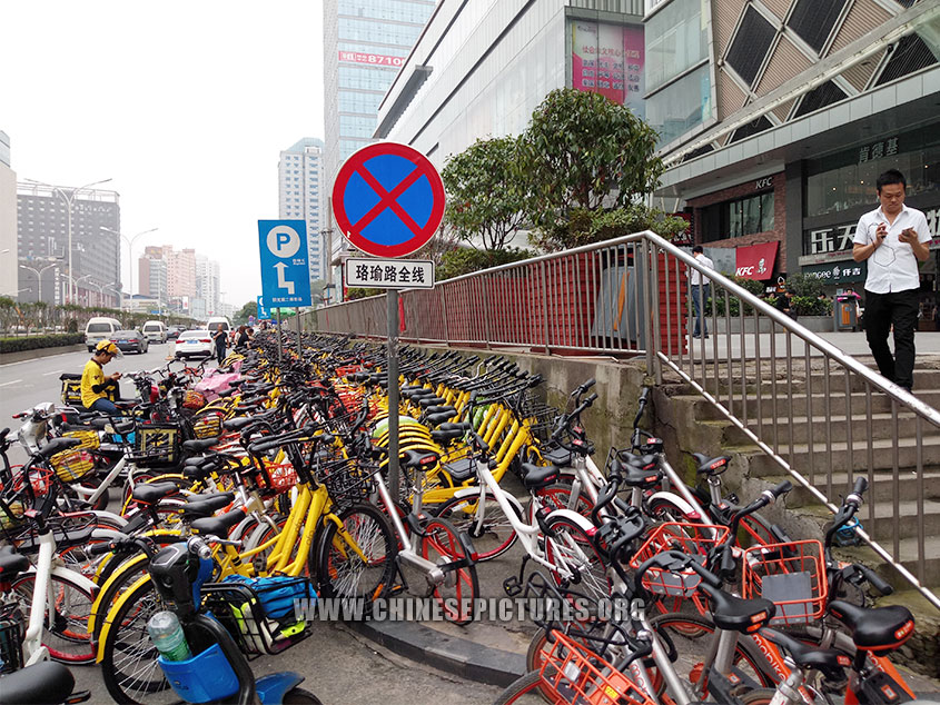 Dockless shared bicycles beat public bicycle-sharing system in China