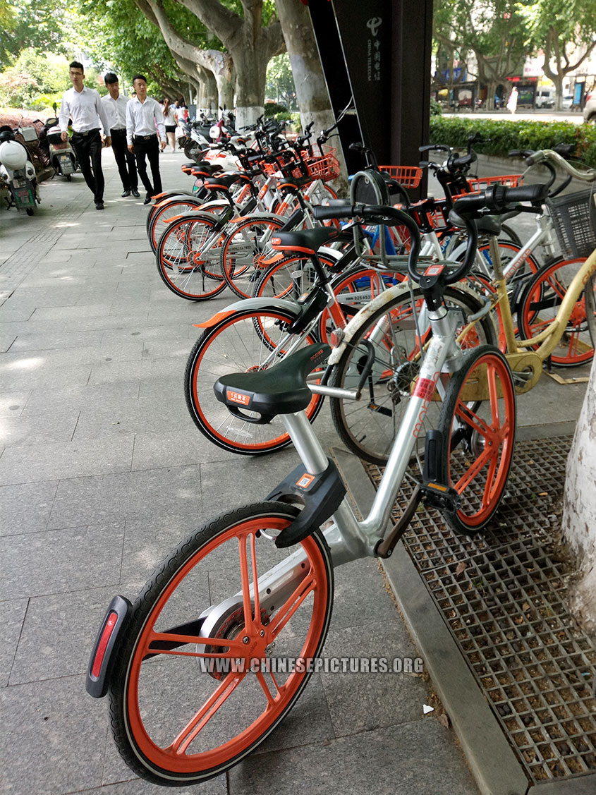 Dockless shared bicycles beat public bicycle-sharing system in China