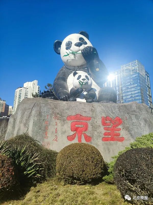 Panda Statue in Chaoyang Beijing 2012