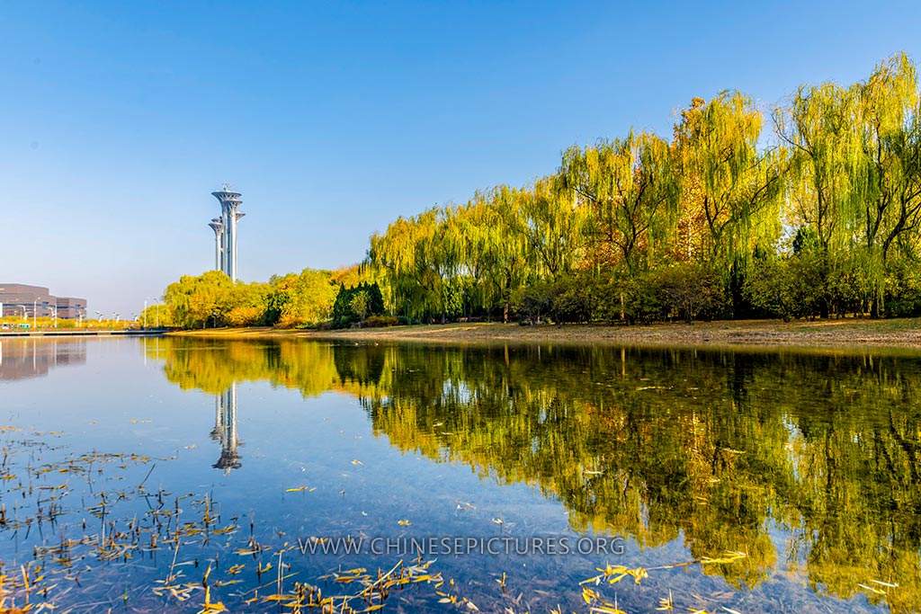 Beijing Autumn Olympic Forest Park