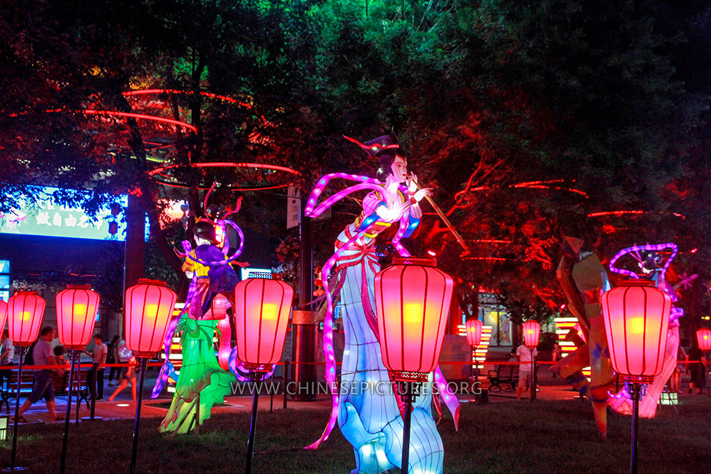 Tang Paradise Night photo 3