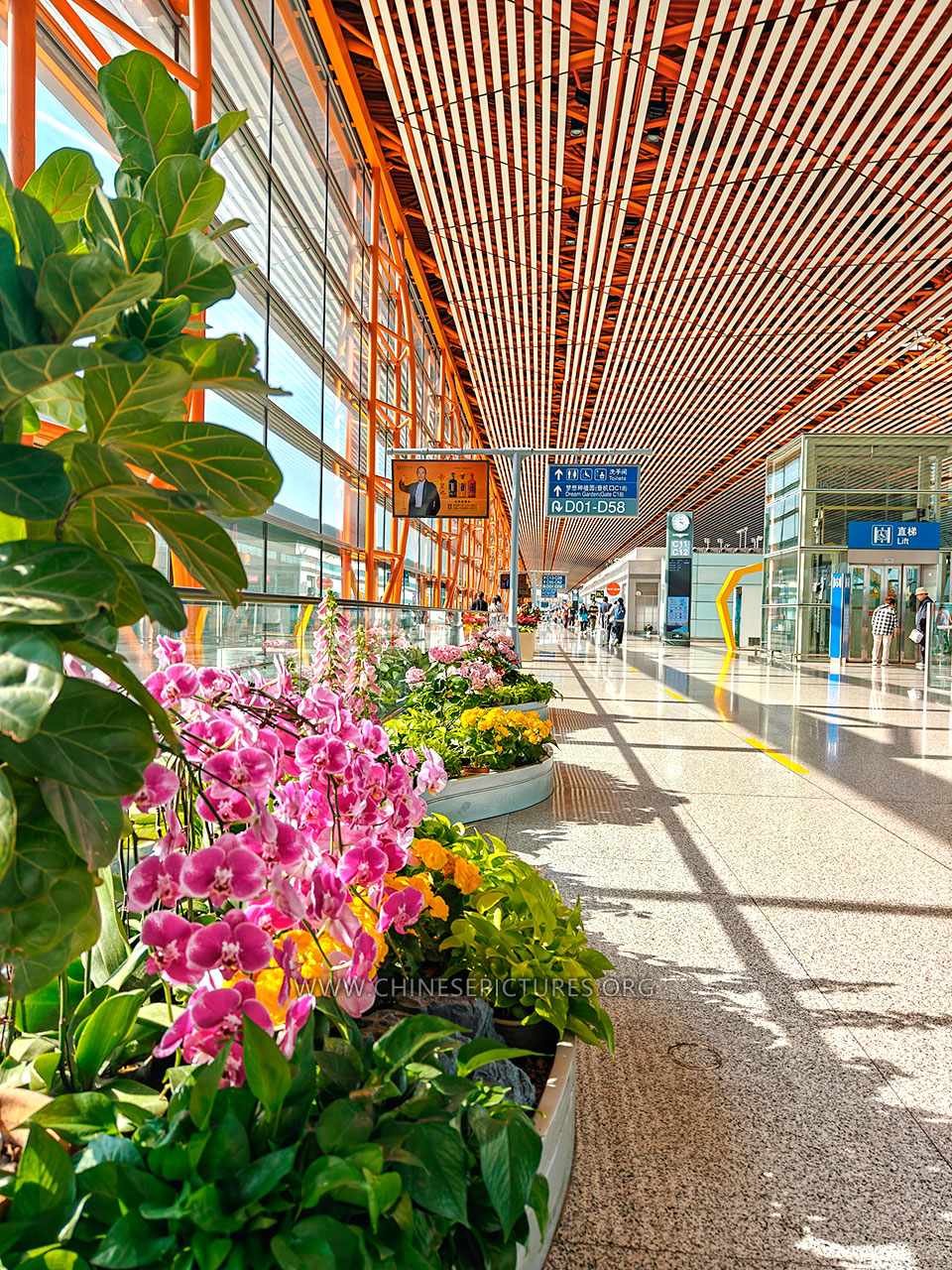 Beijing Capital International Airport Interior 11