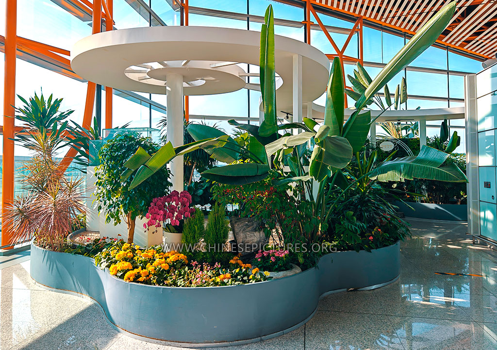 Beijing Capital International Airport Interior 9