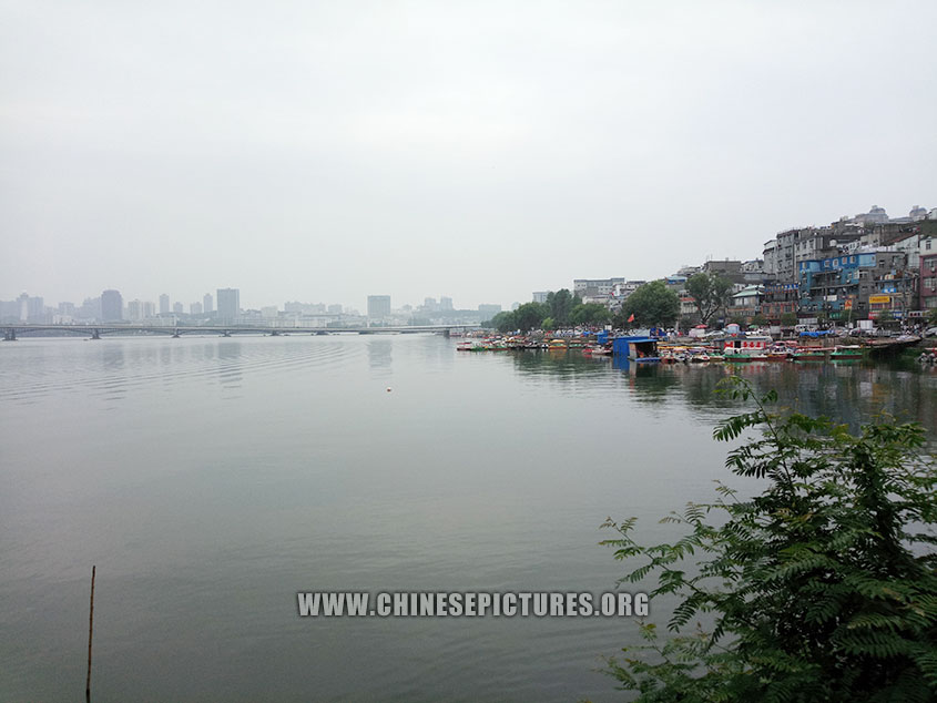 Wuhan lake bank photo